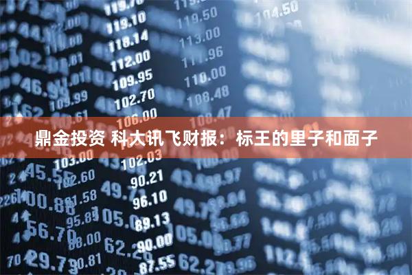 鼎金投资 科大讯飞财报：标王的里子和面子