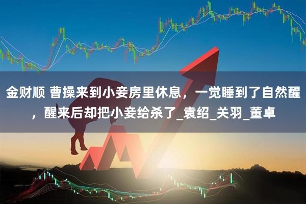 金财顺 曹操来到小妾房里休息，一觉睡到了自然醒，醒来后却把小妾给杀了_袁绍_关羽_董卓