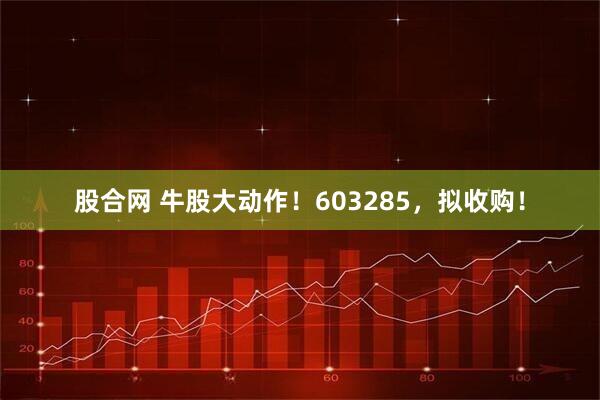 股合网 牛股大动作！603285，拟收购！
