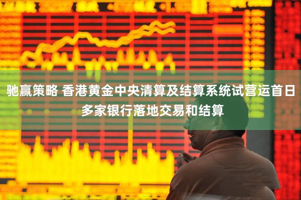 驰赢策略 香港黄金中央清算及结算系统试营运首日 多家银行落地交易和结算