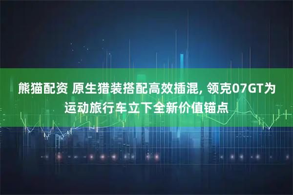 熊猫配资 原生猎装搭配高效插混, 领克07GT为运动旅行车立下全新价值锚点